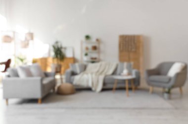 Gri koltukları, koltukları ve bitkileri olan bulanık oturma odası manzarası