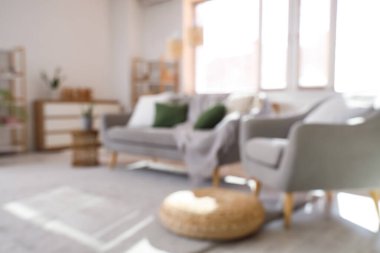 Gri kanepesi, koltuğu ve penceresi olan bir oturma odası.