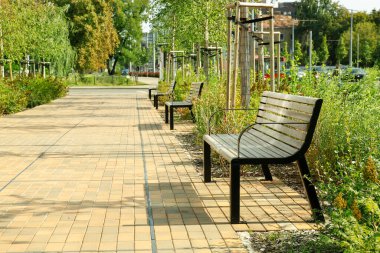 Şehir parkındaki boş banklar