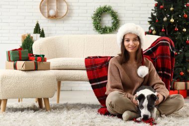 Noel Baba şapkalı güzel genç bir kadın ve şirin bir Staffordshire Terrier köpeği Noel arifesinde evde.