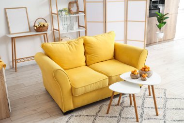 Konforlu kanepe ve kayısı sepetleri oturma odasının içindeki sehpanın üzerinde.