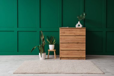 Yumuşak halı, klozet ve bitkilerle dolu bir oda.