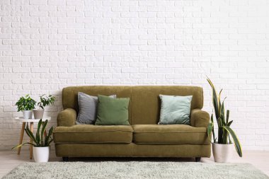 Oturma odasının içinde yeşil kanepe, bitki ve yumuşak halı var.