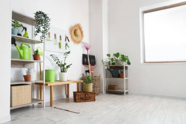 Tahtası, bahçe aletleri ve ahır beyaz duvarın yanında bitkileri olan işyeri