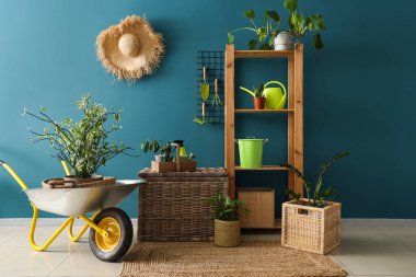 Rafa kaldırma ünitesi, bahçe aletleriyle el arabası ve mavi duvarın yanındaki bitkiler.