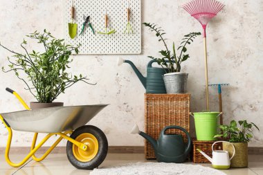 Sepet, su bidonları, ev bitkisi, tırmık ve el arabası. Ahırdaki beyaz duvarın yanında bitki var.