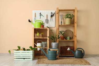 Raflama ünitesi, bahçe aletleri ve ahır bej duvarının yanındaki bitkiler.