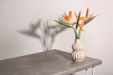 Masada güzel strelitzia çiçekli vazo