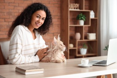 Güzel, mutlu, Afro-Amerikan bir kadın dizüstü bilgisayarla, bir fincan kahveyle ve sevimli Maine Rakun kedisiyle çalışıyor.