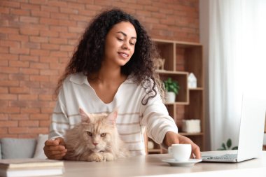 Güzel, mutlu, Afro-Amerikan bir kadın dizüstü bilgisayarla, bir fincan kahveyle ve sevimli Maine Rakun kedisiyle çalışıyor.