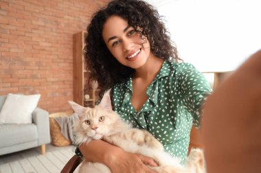 Güzel, genç, mutlu, Afro-Amerikan bir kadın ve sevimli Maine Rakun kedisi evde selfie çekiyor.