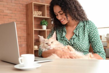 Güzel, mutlu, Afro-Amerikan bir kadın dizüstü bilgisayarla, bir fincan kahveyle ve sevimli Maine Rakun kedisiyle çalışıyor.