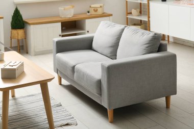 Gri rahat kanepesi, sehpası ve halısı olan şık bir oturma odası.