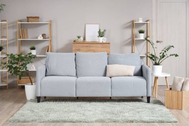 Gri kanepesi, bitkileri ve raf üniteleri olan oturma odasının içinde.