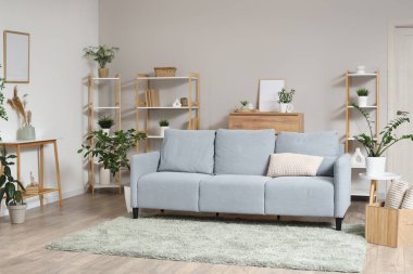 Gri kanepesi, bitkileri ve raf üniteleri olan oturma odasının içinde.