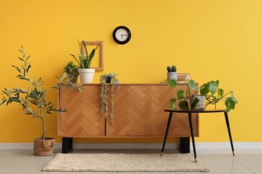 Odanın içi ahşap tuvalet, masa ve bitkilerle dolu.