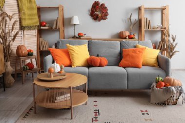 Oturma odasının içi gri kanepe, raflar ve farklı balkabaklarıyla dolu sepet.