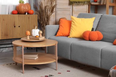 Gri kanepe, sehpa ve farklı balkabaklarıyla oturma odasının içinde.