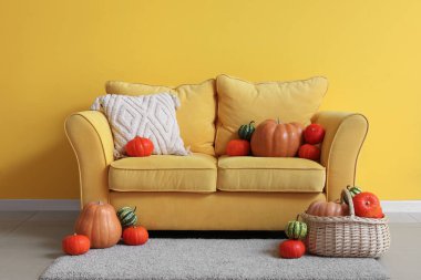 Oturma odasının içi sarı kanepe ve farklı balkabaklarıyla dolu hasır sepet.