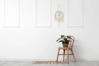 Beyaz duvarın yanındaki sandalyede oturan ev bitkisi.