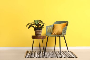 Houseplant on stand and chair with cushion near yellow wall in room