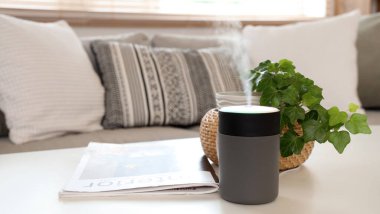 Oturma odasındaki masa üzerinde bitki ve dergi bulunan hava nemlendirici.