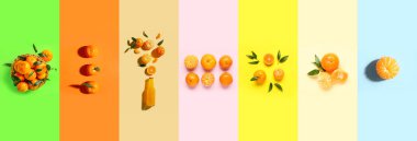 Renk arkaplanı, üst görünüm üzerinde birçok olgun mandalinaların kolajı