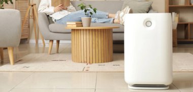 Modern hava temizleyici oturma odasında.