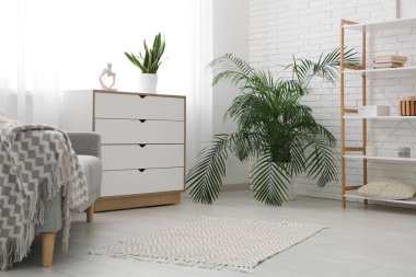 Klozet ve ışık perdeleri olan şık bir oturma odası.