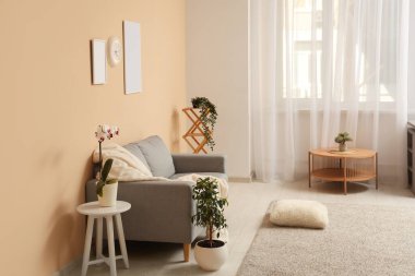 Gri kanepesi, çiçekleri, resimleri ve bej duvarlı saati olan bir oturma odası.