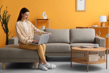 Genç kadın dizüstü bilgisayar kullanıyor ve güzel oturma odasındaki kanepede oturuyor.