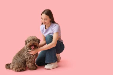 Pembe arka planda oturan sevimli kahverengi kaniş köpekli genç bir kadın.