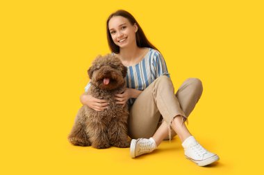 Sarı arka planda sevimli kahverengi kaniş köpeğine sarılan genç bir kadın.
