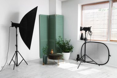 Profesyonel ekipman, katlama ekran, puf ve ev bitkisi olan fotoğraf stüdyosunun içi