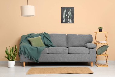 Rafların yanında ekose ve yastıklı rahat bir kanepe ve oturma odasında saksı.