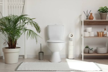 Tuvaletin içinde klozet, raf ünitesi, ev bitkisi ve beyaz duvarın yanında katlanan ekran var.