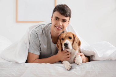 Genç adam yatakta sevimli Beagle köpeğine sarılıyor.