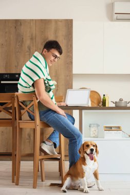 Gözlüklü genç adam dizüstü bilgisayar kullanıyor ve mutfakta yerde oturan sevimli Beagle köpeği.