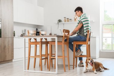 Dizüstü bilgisayar kullanan gözlüklü genç adam ve mutfakta yerde yatan sevimli Beagle köpeği.