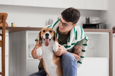 Gözlüklü genç adam mutfakta sevimli Beagle köpeğine sarılıyor.