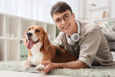 Kulaklıklı genç adam evde yerde sevimli Beagle köpeğiyle oynuyor.