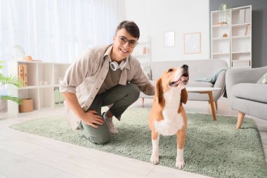 Kulaklıklı genç bir adam ve evde sevimli bir Beagle köpeği var.