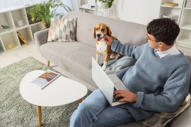 Gözlüklü genç adam evdeki kanepede sevimli Beagle köpeğinin yanındaki koltukta dizüstü bilgisayar kullanıyor.