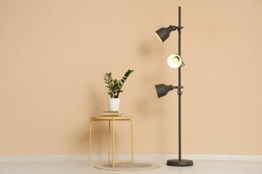 Ev bitkisi, sehpanın üzerindeki kitaplar ve odadaki bej duvarın yanındaki lamba.