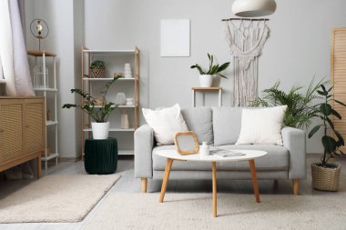 Oturma odasının içinde kanepe, raf üniteleri ve bitkiler var.