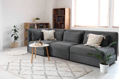 Modern gri kanepe ve oturma odasında bir sürü kitabı olan kitaplıklar.