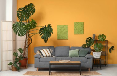 Monstera bitkileri, kanepe, kahve masası ve sarı duvarın yanındaki oda.