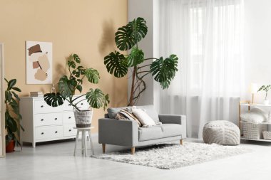 Monstera bitkileri, kanepe, çekmeceler ve bej duvardaki resim.