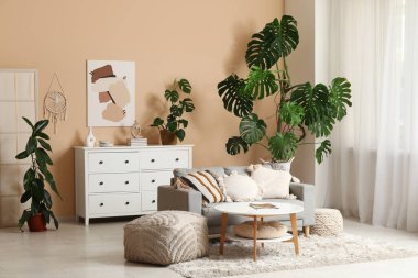 Monstera bitkileri, kanepe, çekmece sandığı, sehpa, puf ve resim bej renkli odada.