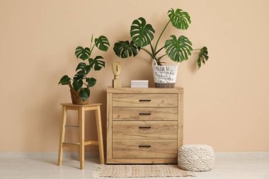 Odadaki bej duvarın yanında dekoru olan çekmeceler ve tabure üzerindeki canavar bitkisi.